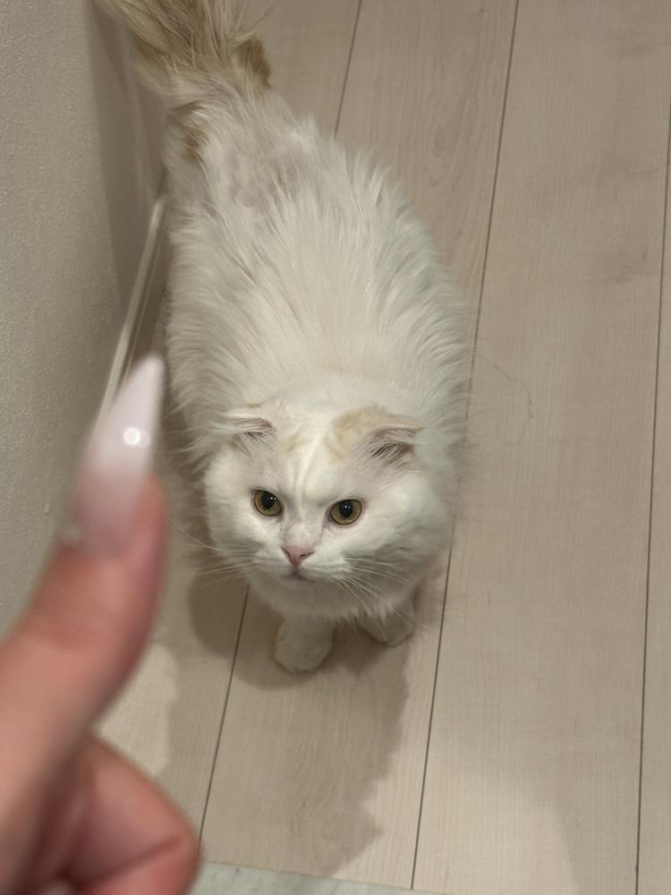 出勤