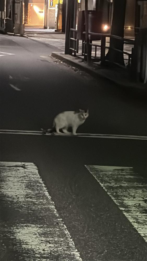 にゃん