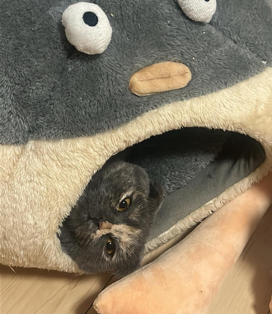 ねむい( ᴖ ̫ᴖ )