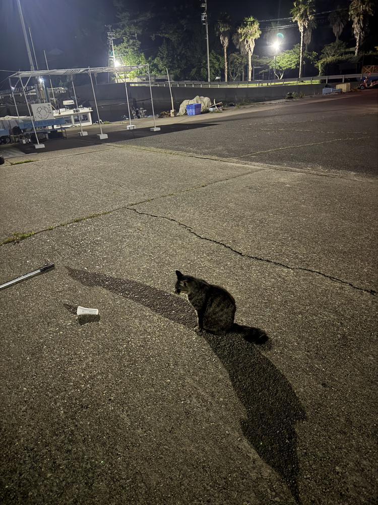やすみ