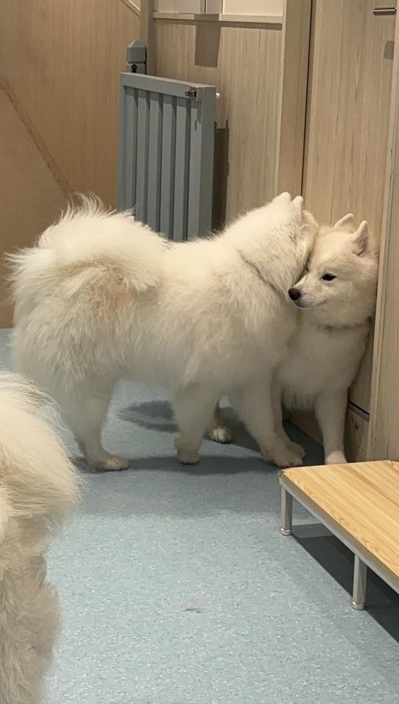 かわいすぎた🤦‍♀️
