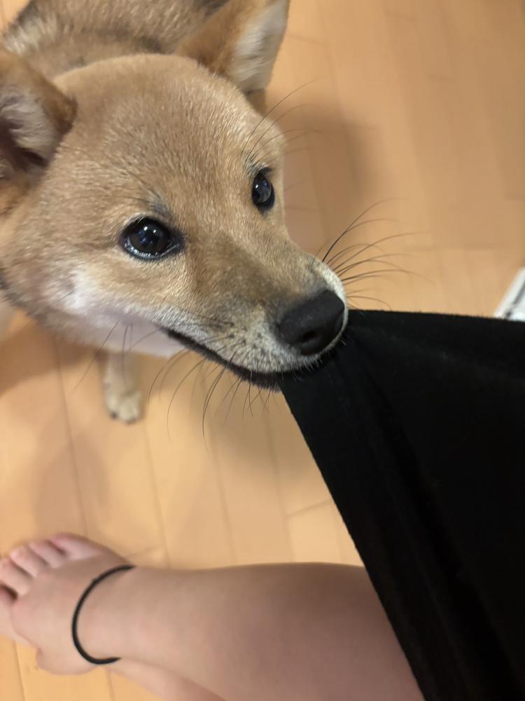 今日はついてないかも😭