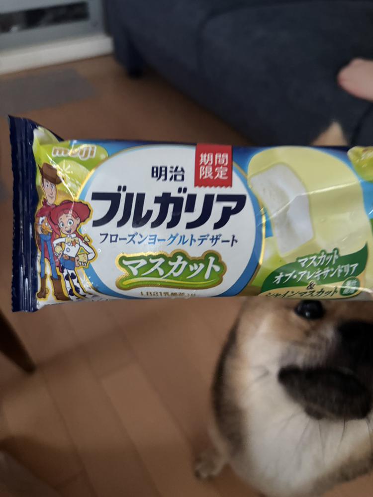 アイスの時期だよ🍨