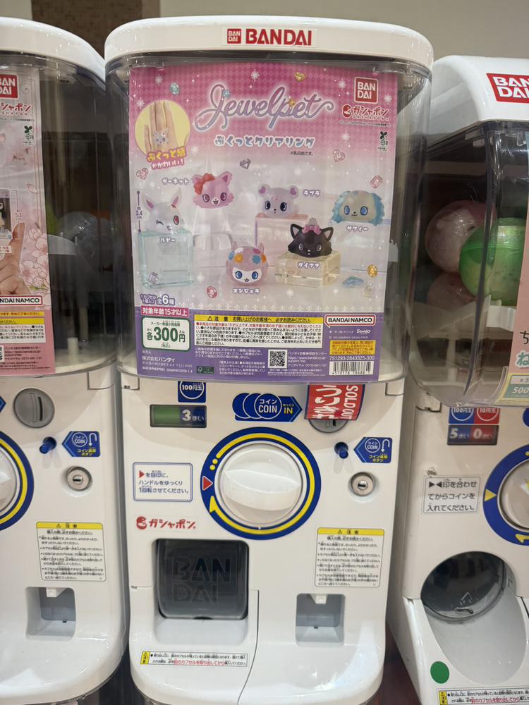 出勤です‼️