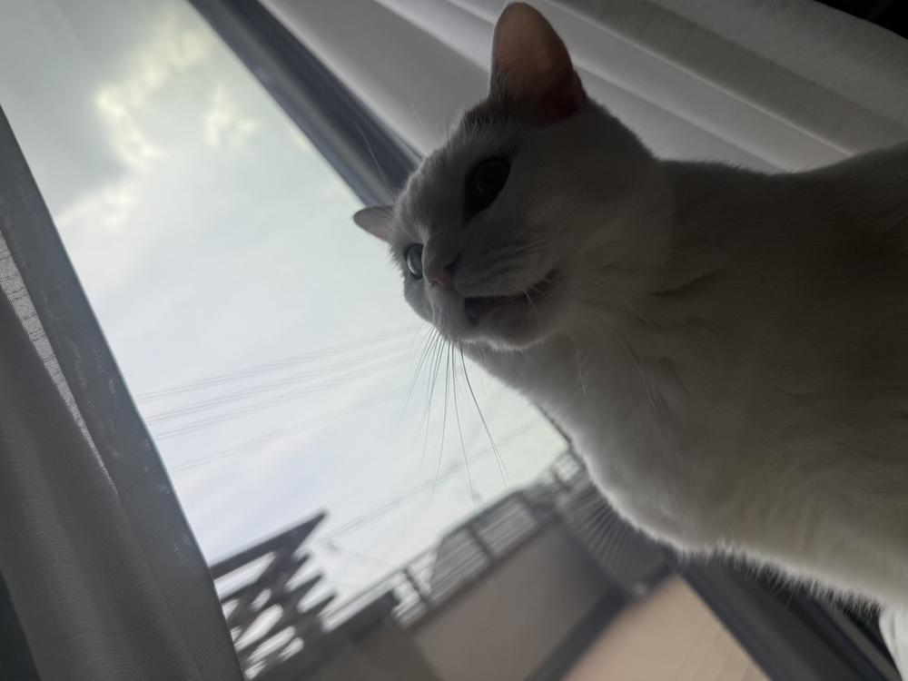 今日は土曜日‼️