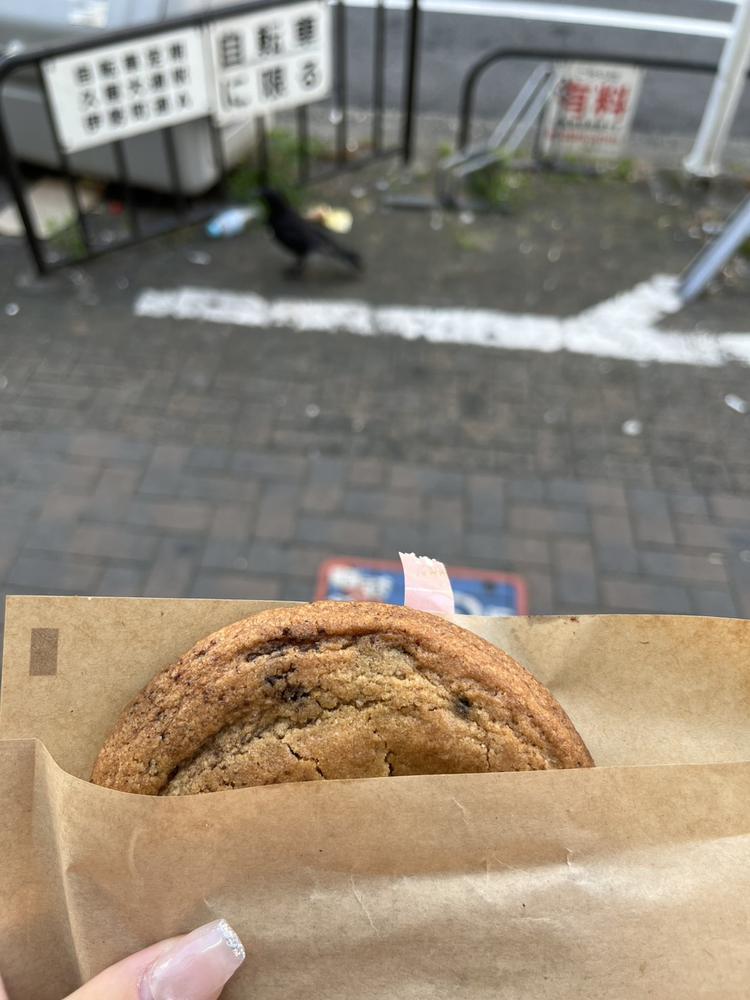 おはようございます☀️