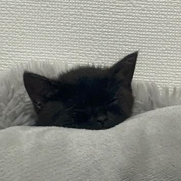 こんばんはー！