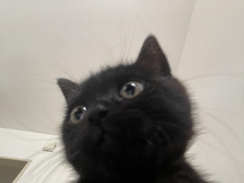 今日出勤して明日おやすみ😪🤍
