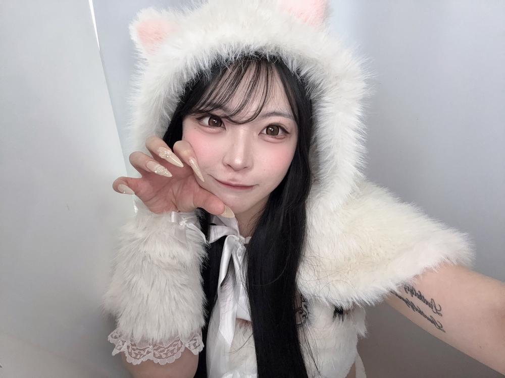 お休みです