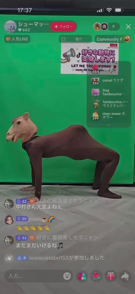 最近のハマり