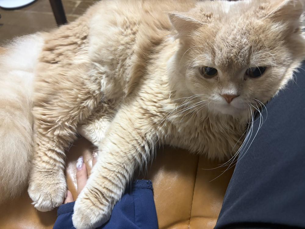おはようにゃん🐈🐾