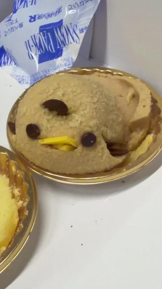 出勤でしゅ✨