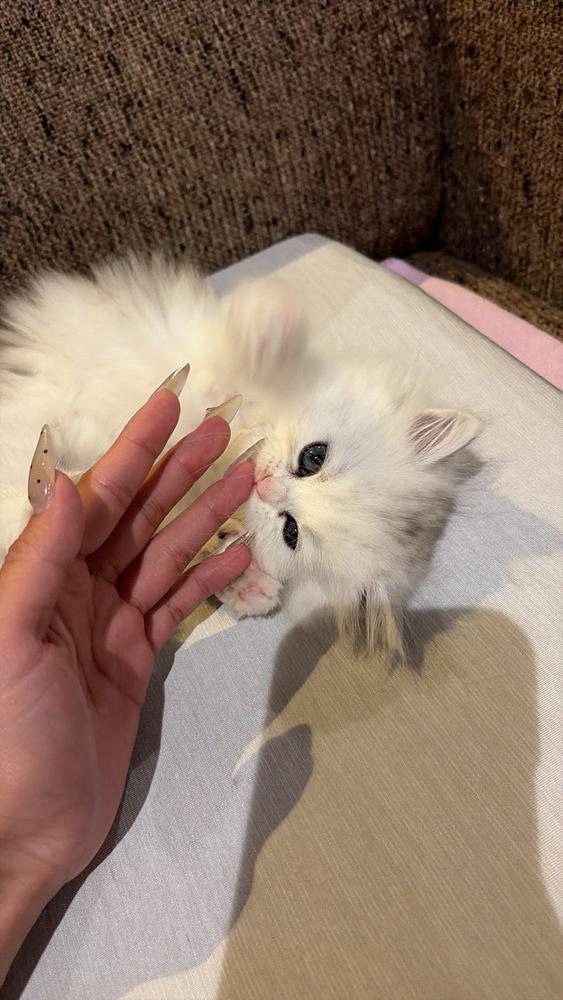 低気圧か