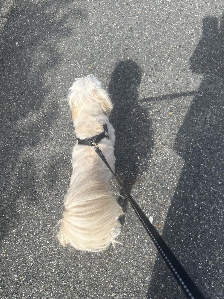おはよー☀️