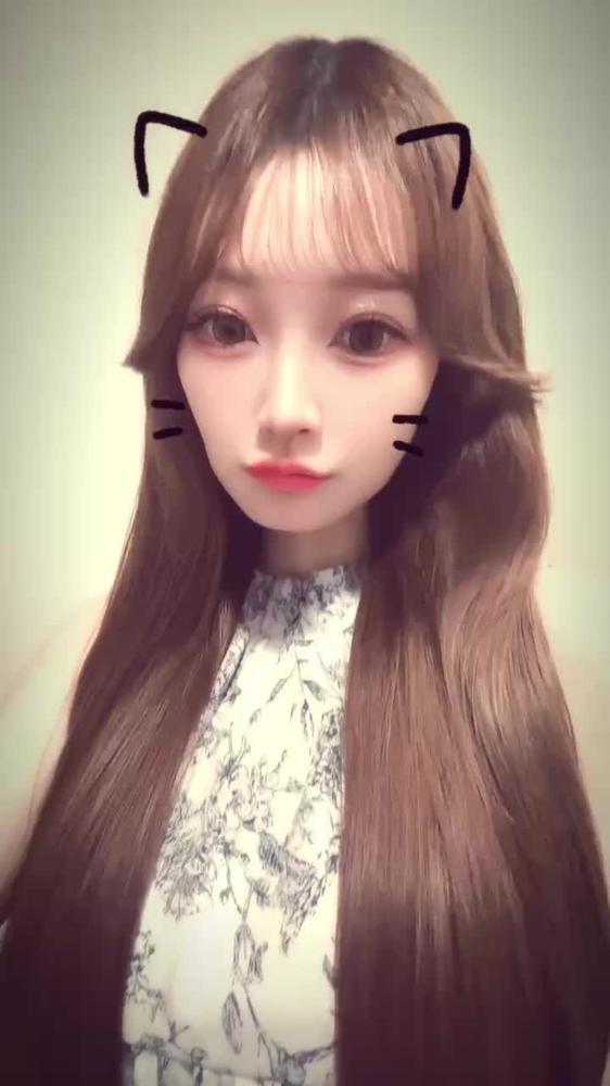 🐈‍⬛