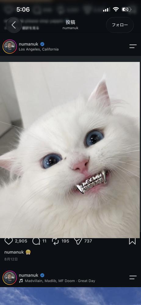 しゅ