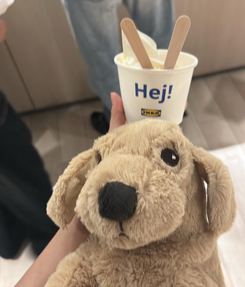 今日もあっちーねーー！💦