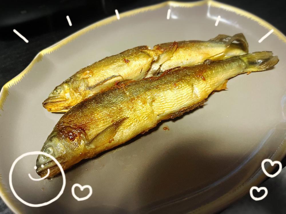 出勤です