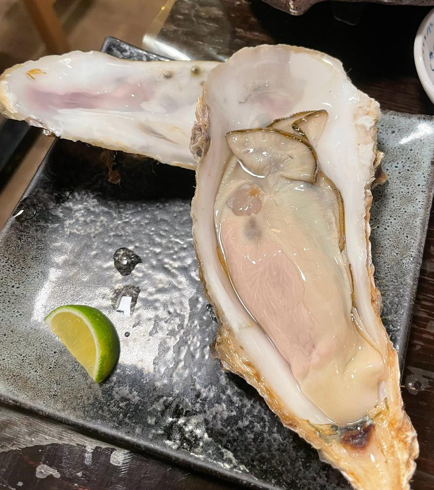 激うまい🦪