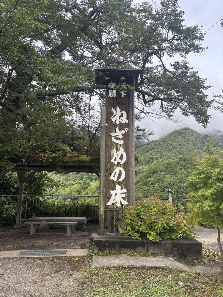 ( ˙罒˙)