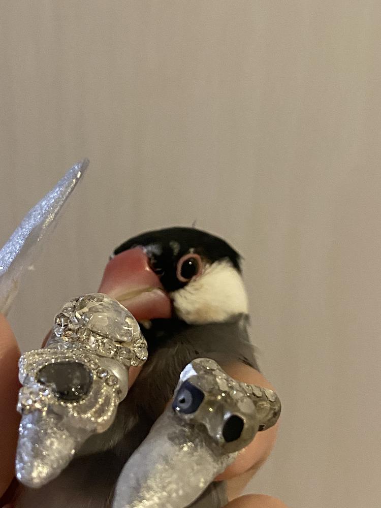 出勤しました