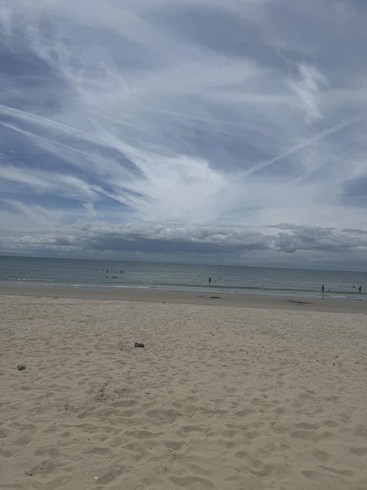 海