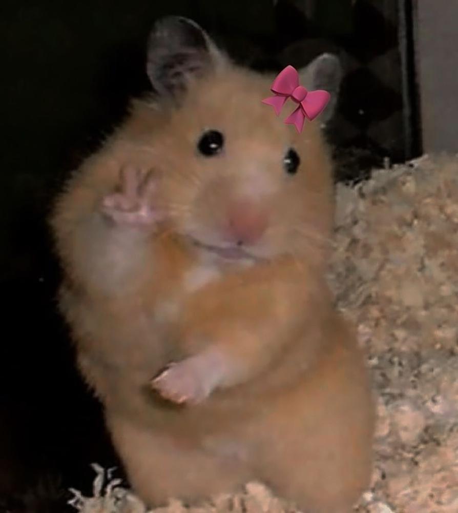 ❤️