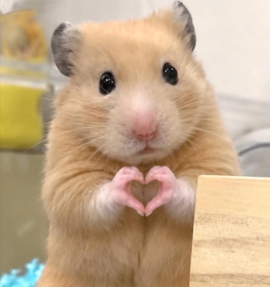 ❤️