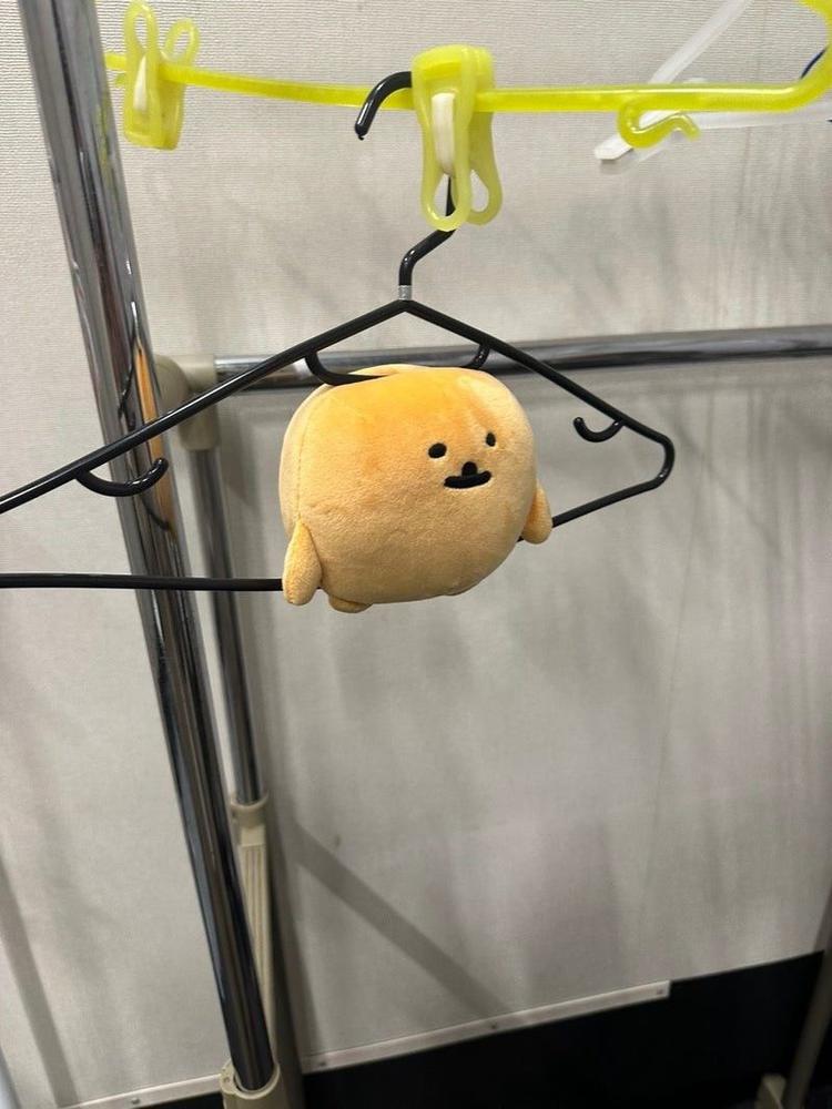 どうも