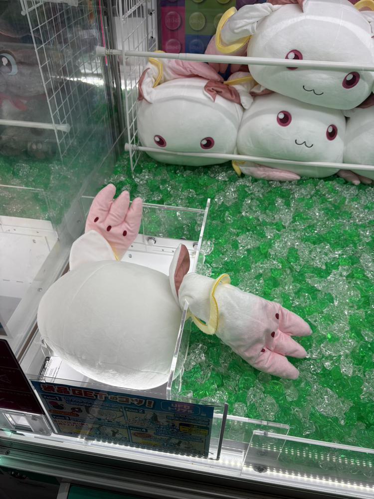 わお