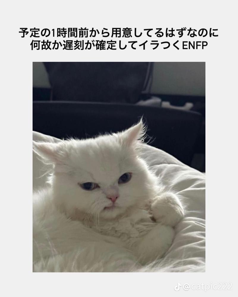 しゅ！