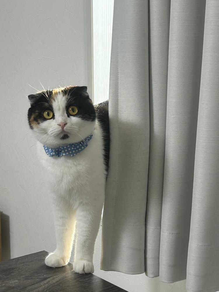 あーー(^O^)