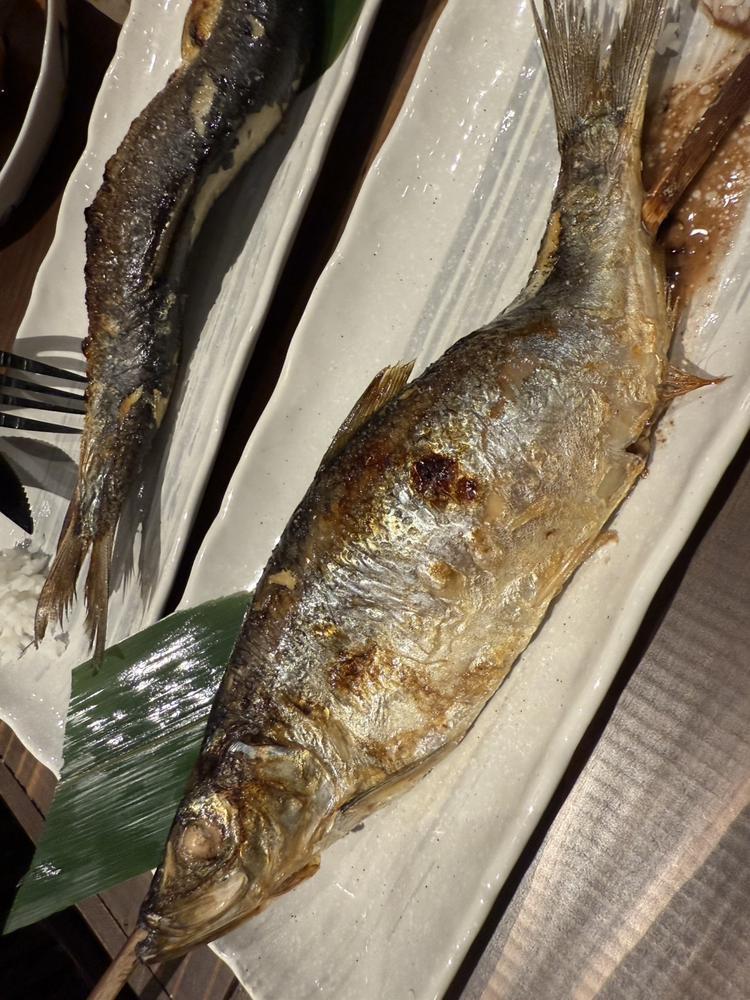 お魚🐟