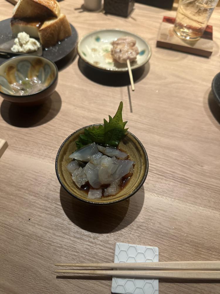 クラゲ🪼