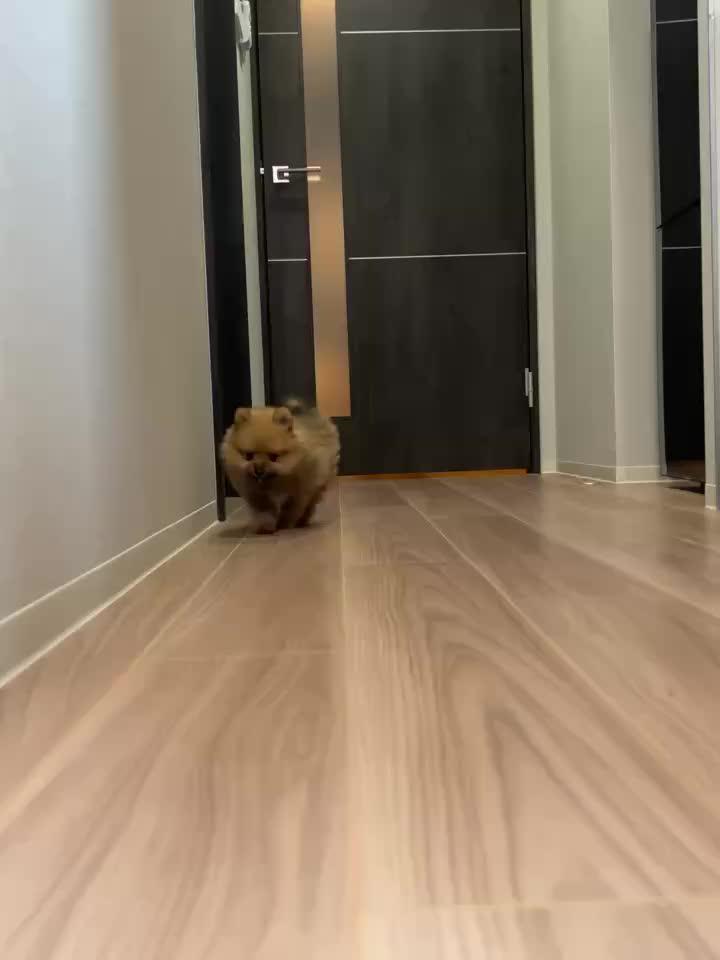 出勤