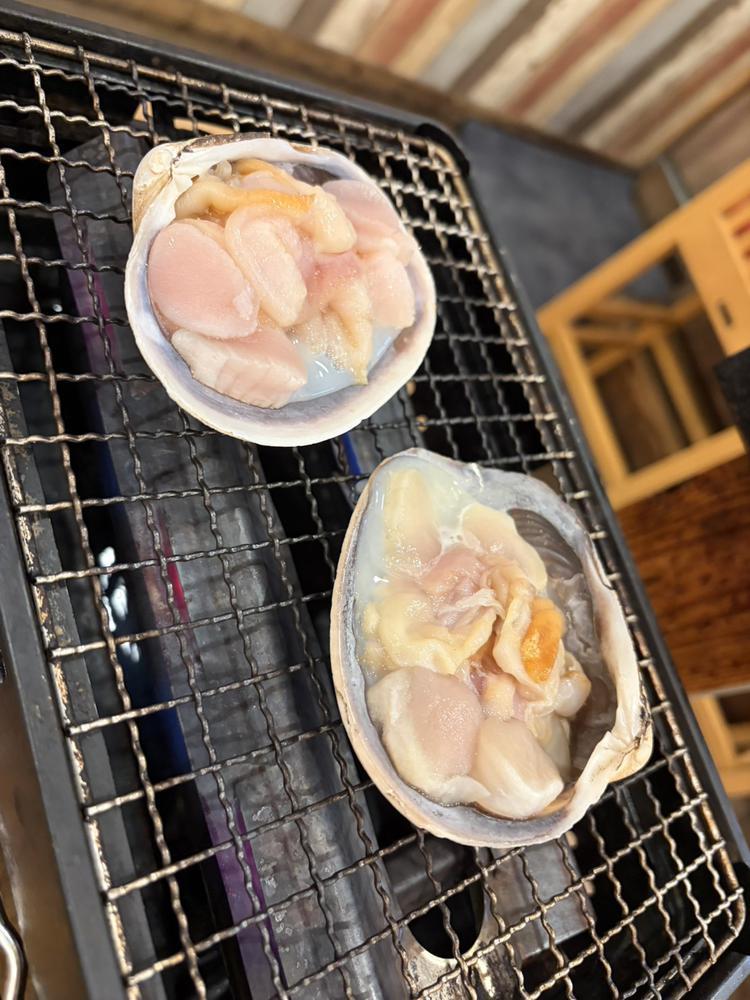 🐚