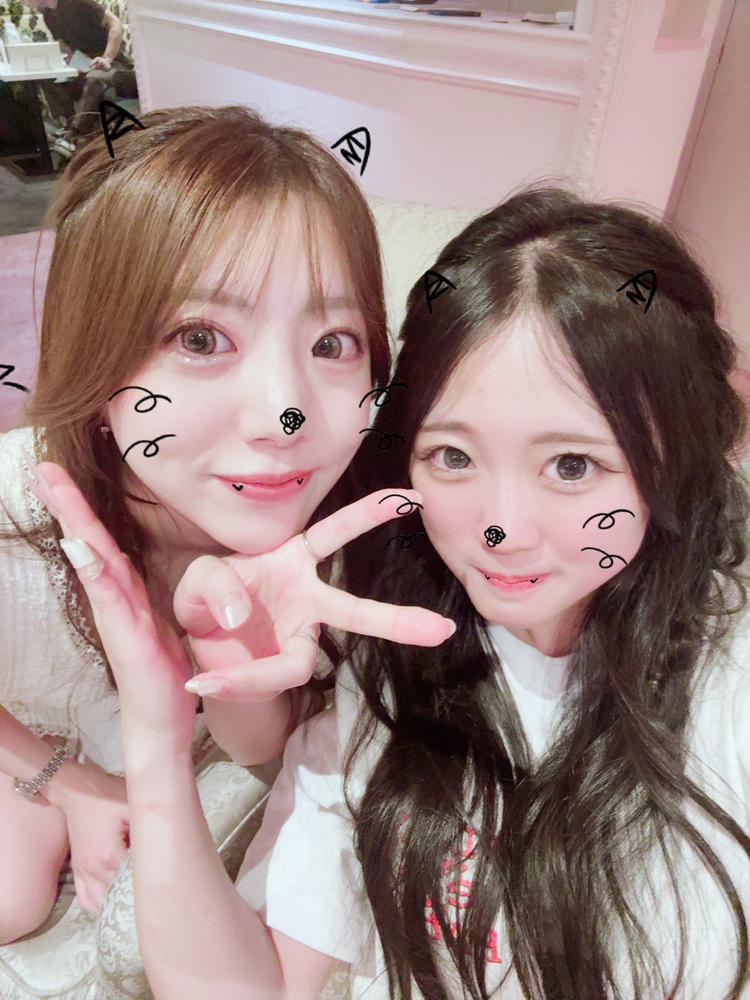 予定ください😿