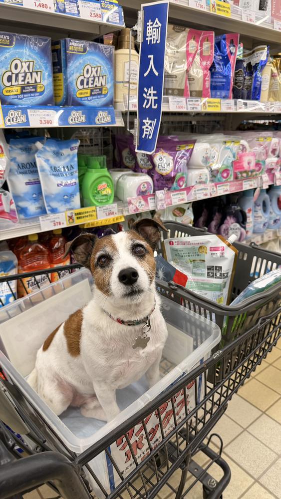 🐶エレンとダムへ行ってきました♩