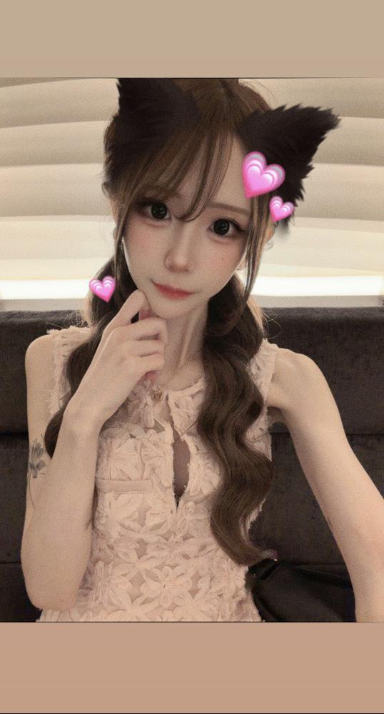 ฅ^•ω•^ฅ