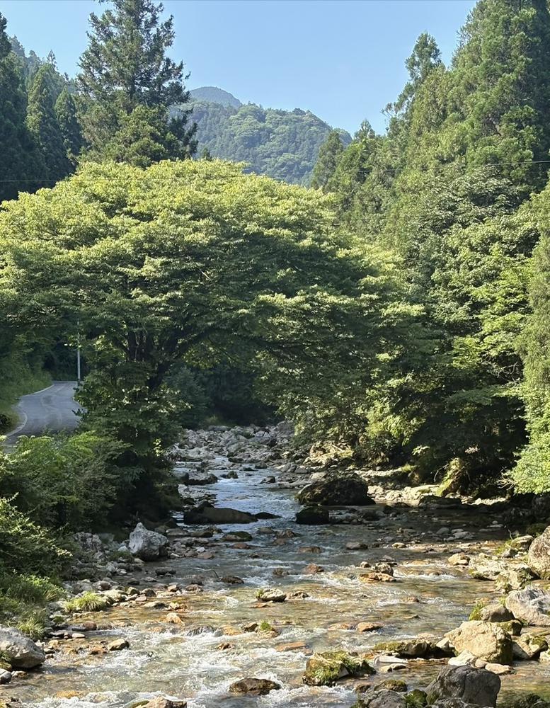 川遊びって水着？Tシャツ？