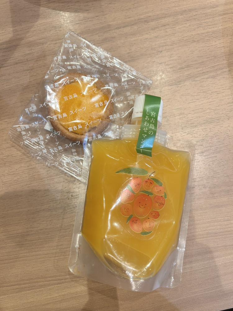 今日はお休みです😌