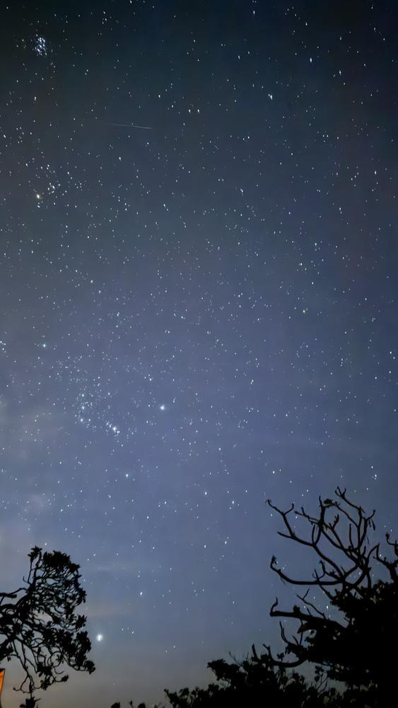 宮古は流れ星がいっぱい見えた👀