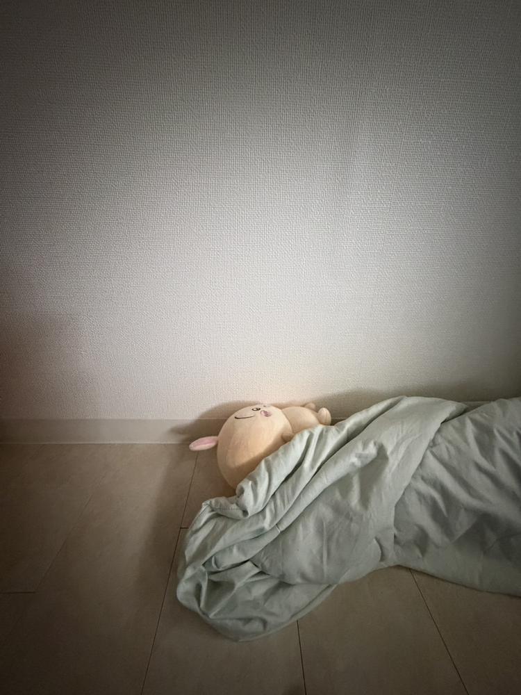 おはようございます😊