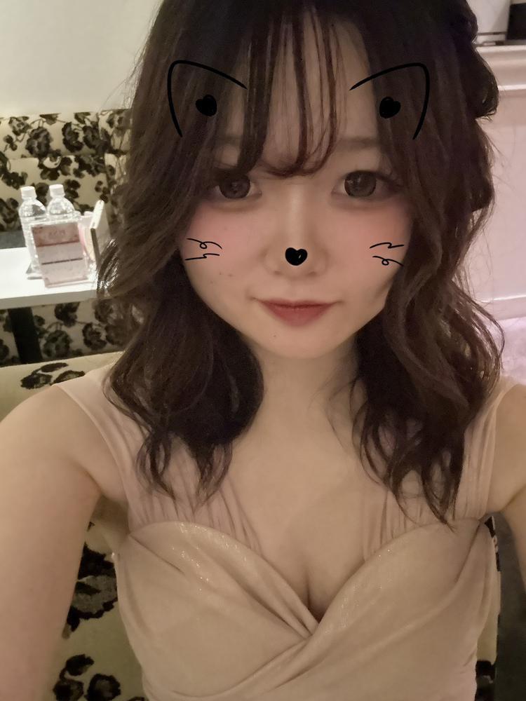 出勤しました🐈