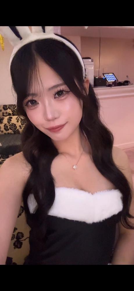 🐰🐰🐰