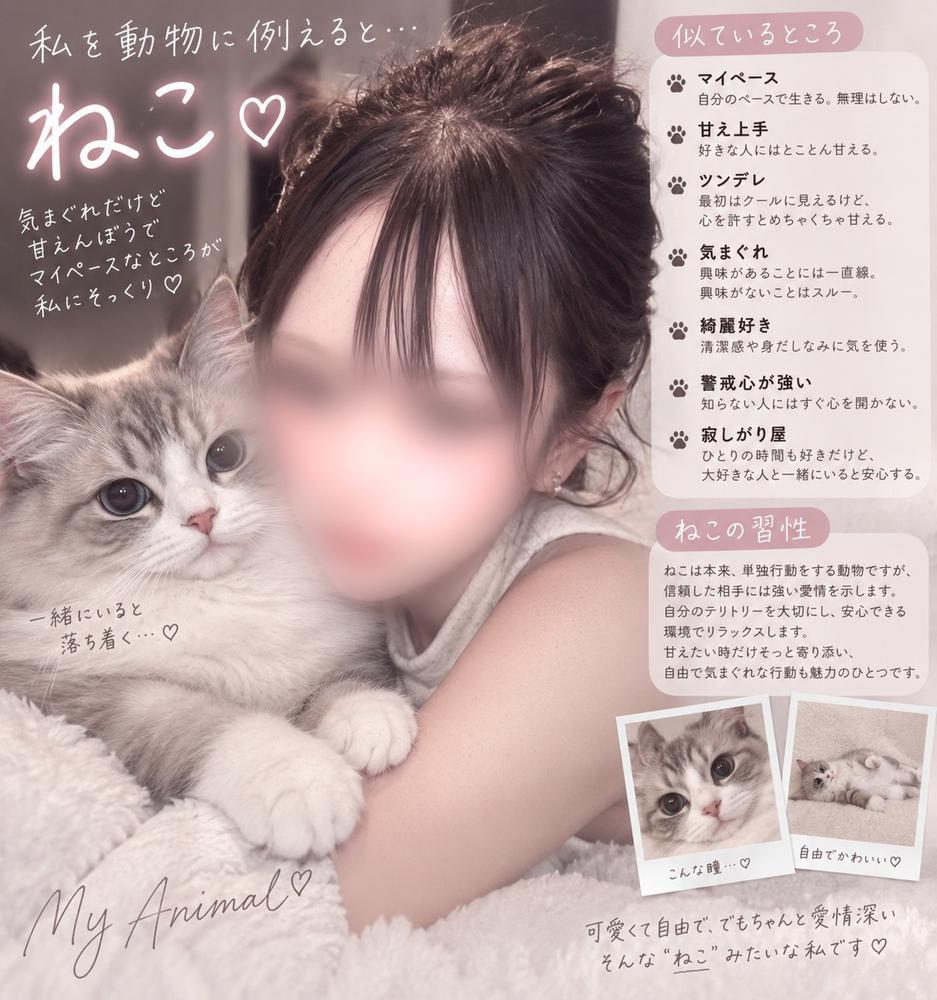 ねこしゃん‎^ ̳ᴗ ·̫ ᴗ ̳^ ‎♡