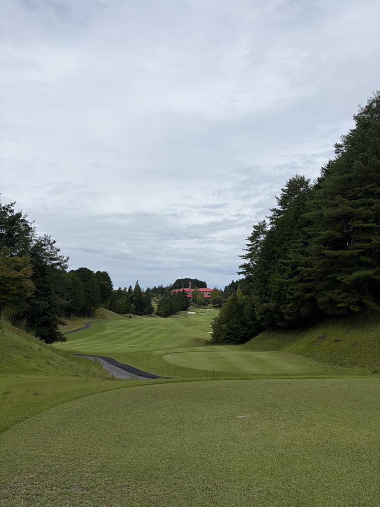 ⛳️