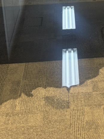 皆😭 雨大丈夫だった？