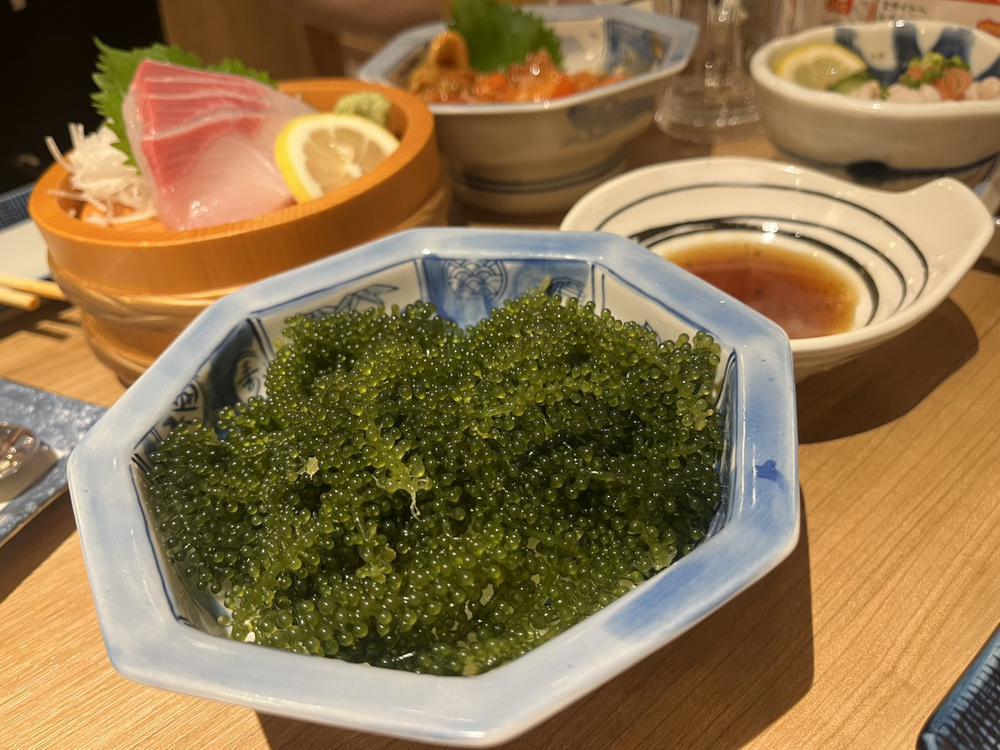 おやすみなさい