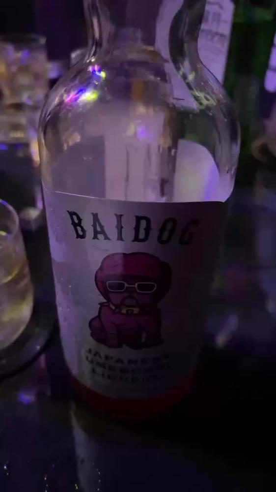 🐻‍❄️